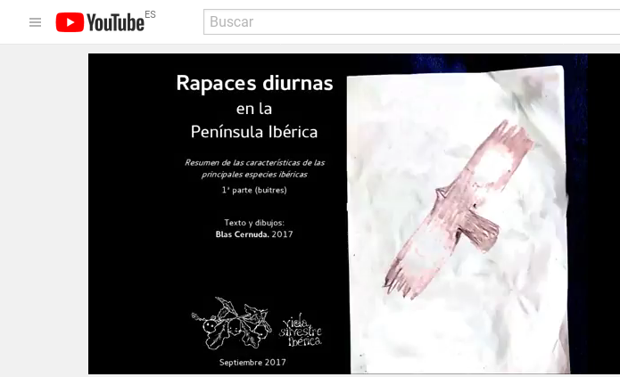 buitres youtube
