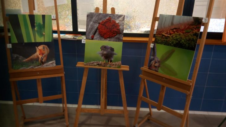 exposición de fotografía