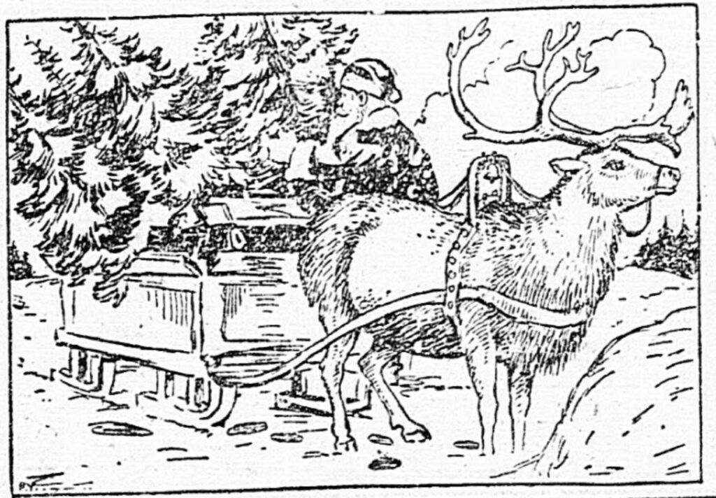 Rudolph, la rena de la nariz roja.