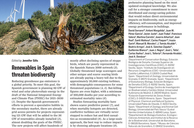 Las renovables a gran escala amenazan a la biodiversidad